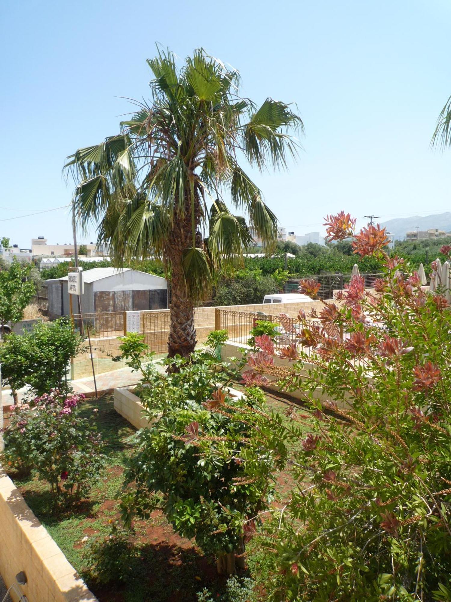 Newcastle Studios Malia  Exterior photo